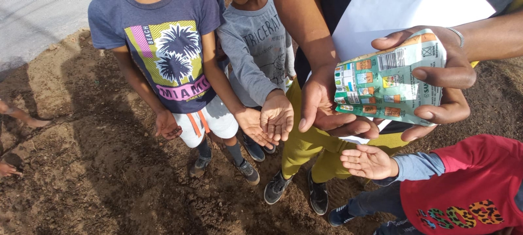 Verteilen der Samen unter den Kindern