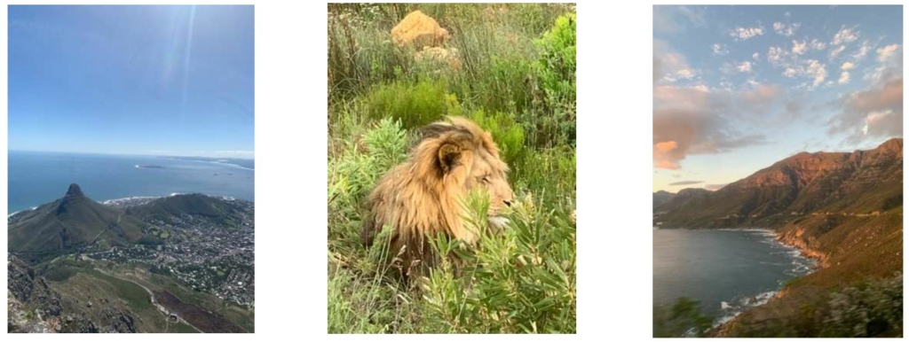 Impressionen aus Südafrika