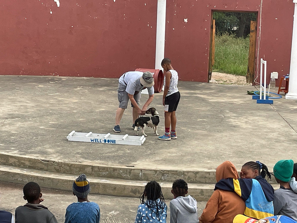 Hundeshow am Gedenktag des Heiligen Franziskus