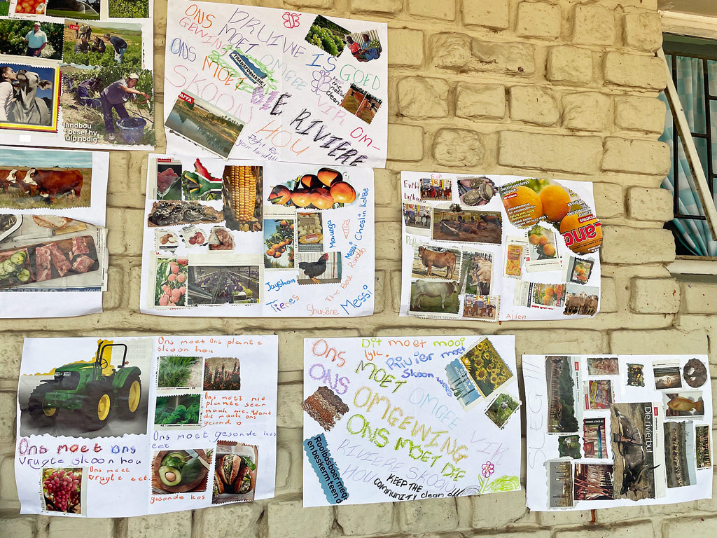 was uns die Umwelt Gutes bescherrt