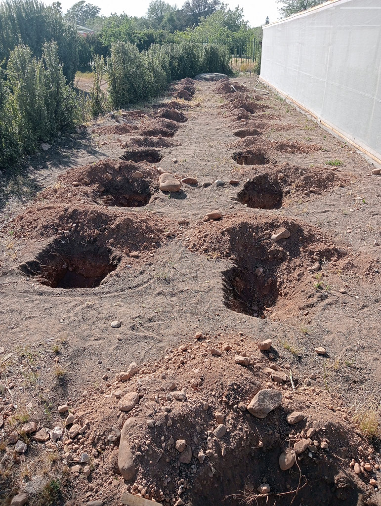 Vorbereitung des Bodens für die Pflanzung der Bäume