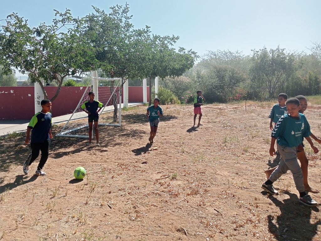 neue Tore für das Fussballfeld