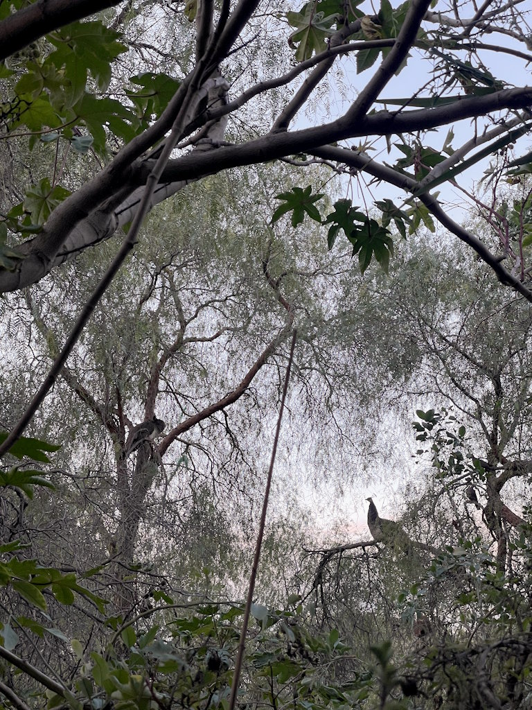 Lukas geniesst die Natur